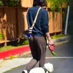 outinla220420-020.jpg
