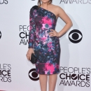 peopleschoice080114-036.png