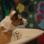 puppylovelhbr-130.jpg