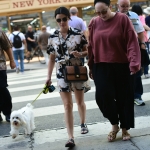 Filename=shoppingstudiocity050919-013.jpg
Filesize=1707KiB
Dimensions=3682x3280
Date added=Sep 06, 2019 shoppingstudiocity050919-013.jpg