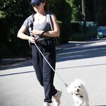 walkingdogsla211123-003.JPG