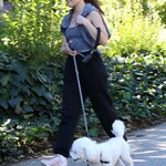 walkingdogsla211123-004.JPG