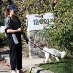 walkingdogsla211123-015.JPG