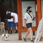 walkingelvisla250620-027.jpg