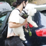 walkingelvisla250620-049.jpg