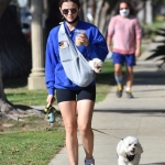 walkingherdogsinla110221_004.jpg