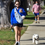 walkingherdogsinla110221_031.jpg