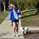 walkingherdogsinla110221_032.jpg