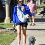 walkingherdogsinla110221_034.jpg