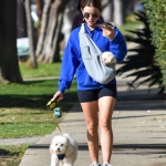 walkingherdogsinla110221_035.jpg
