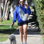 walkingherdogsinla110221_044.jpg