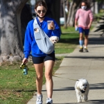 walkingherdogsinla110221_054.jpg
