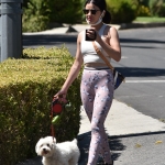 walkinginhollywood140520_021.jpg