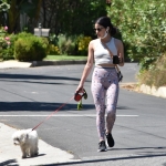 walkinginhollywood140520_023.jpg