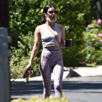 walkinginhollywood140520_026.jpg