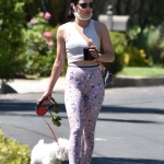 walkinginhollywood140520_030.jpg