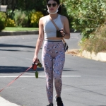 walkinginhollywood140520_037.jpg