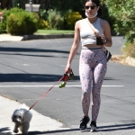 walkinginhollywood140520_039.jpg