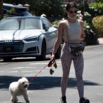 walkinginhollywood140520_041.jpg