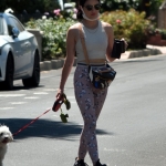 walkinginhollywood140520_042.jpg