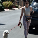 walkinginhollywood140520_045.jpg
