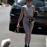 walkinginhollywood140520_047.jpg