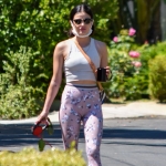 walkinginhollywood140520_065.jpg