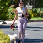 walkinginhollywood140520_066.jpg