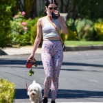 walkinginhollywood140520_067.jpg