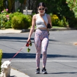 walkinginhollywood140520_068.jpg