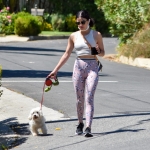 walkinginhollywood140520_070.jpg