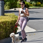 walkinginhollywood140520_071.jpg