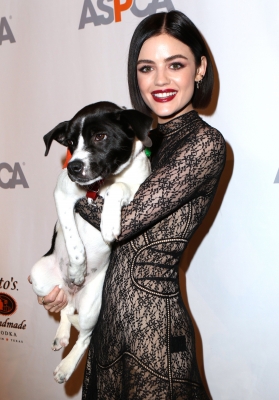 ASPCA230417-089.jpg