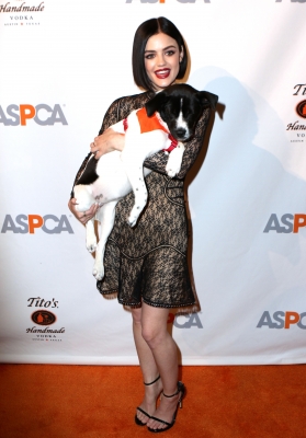 ASPCA230417-090.jpg