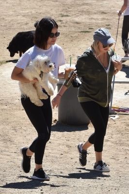 AtDogPark160918-009.jpg