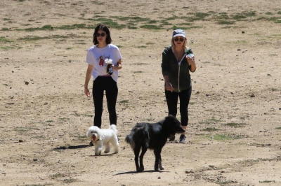 AtDogPark160918-019.jpg