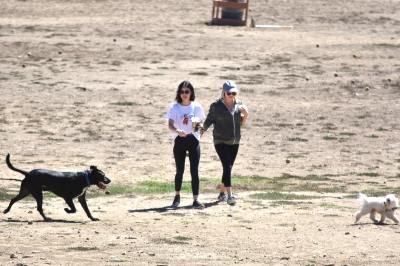 AtDogPark160918-046.jpg