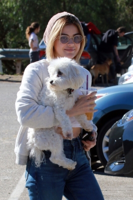 HQ
