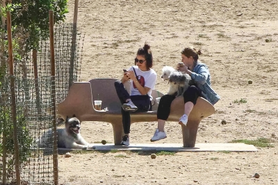 DogPark190918-003.jpg