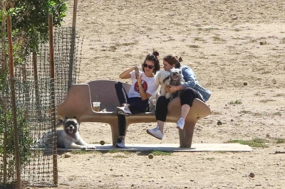 DogPark190918-004.jpg