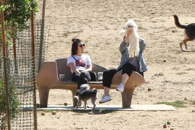 DogPark190918-005.jpg