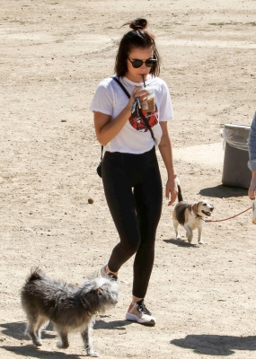 DogPark190918-013.jpg