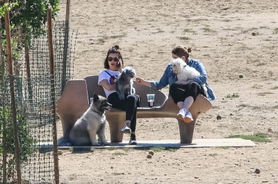 DogPark190918-018.jpg