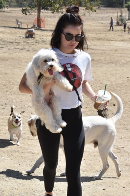 DogPark190918-067.jpg
