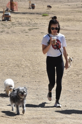 DogPark190918-068.jpg
