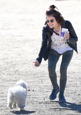 DogPark240217-015.jpg