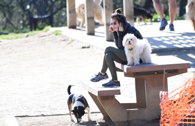 DogPark240217-025.jpg