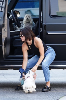 Dropsherdogsatdaycarecenter_003.jpg