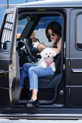 Dropsherdogsatdaycarecenter_013.jpg