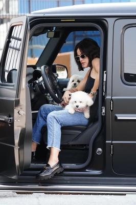 Dropsherdogsatdaycarecenter_015.jpg